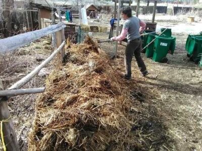 The Be the Change Project’s Top Tips for Regenerative Living #4 Compost & Soil Building Image